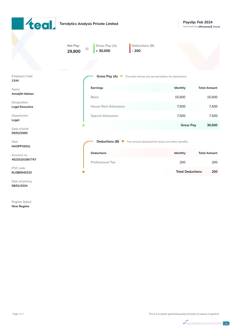 Download Terralytics Analysis payslip template in Word and PDF formats.pdf, 1 Photoshop template